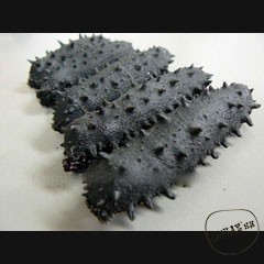 Каталог компаний морепродуктов