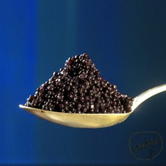 Икра Черная икра осетровая белуги