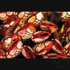 Каталог компаний морепродуктов