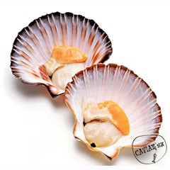 Каталог компаний морепродуктов
