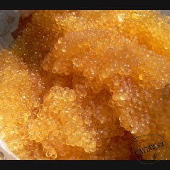 Каталог компаний морепродуктов