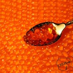 Каталог компаний морепродуктов