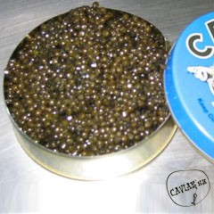 Каталог компаний морепродуктов