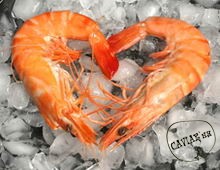 Каталог компаний морепродуктов
