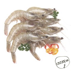 Каталог компаний морепродуктов
