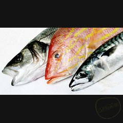 Каталог компаний морепродуктов