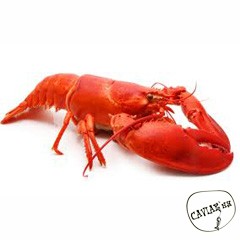 Каталог компаний морепродуктов