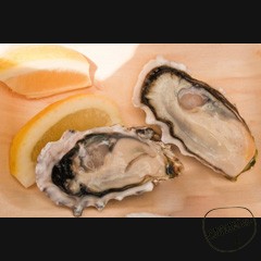 Каталог компаний морепродуктов
