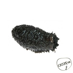 Каталог компаний морепродуктов