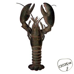 Каталог компаний морепродуктов